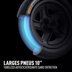 Ninebot F2 Plus Pneu