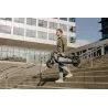 Ninebot F2 Plus Transportable