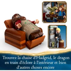 LEGO Harry Potter 76428 La cabane de Hagrid | Boîte Neuve Scellée