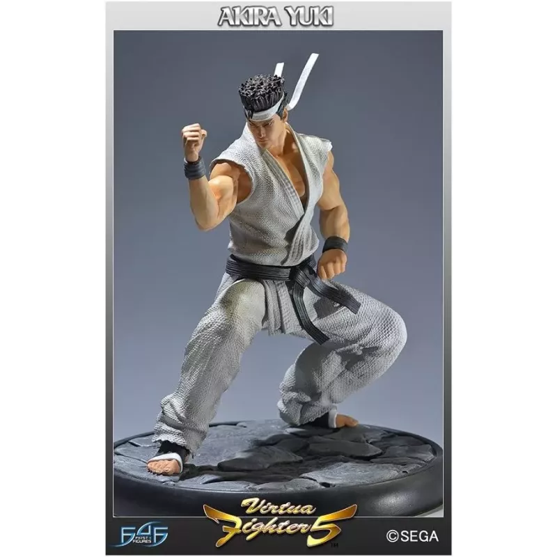 Boite officielle et statue First 4 Figures Virtua Fighter 5 Akira Yuki resine neuve scellee