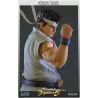 Statue de collection First 4 Figures Akira Yuki exposee dans une vitrine de jeux de combat