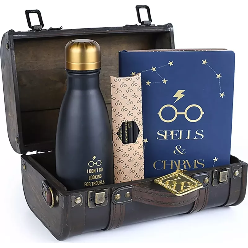 Boite officielle du coffret cadeau Harry Potter Trouble Finds Me GP85536 neuf scelle